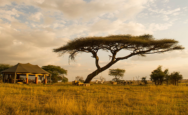 Camping in Africa