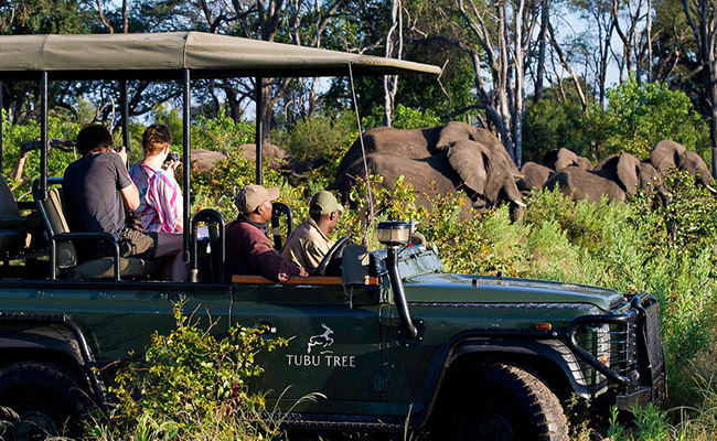 African Game Drives